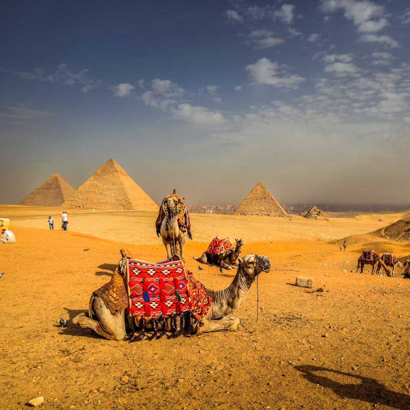 Full Day Tour to Giza Pyramids, Sphynx & Egypt Grand Museum