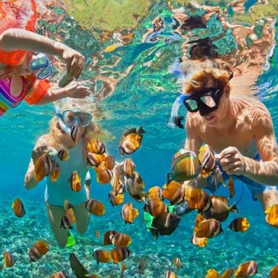 Nature Reserve Sharm El Nagaa